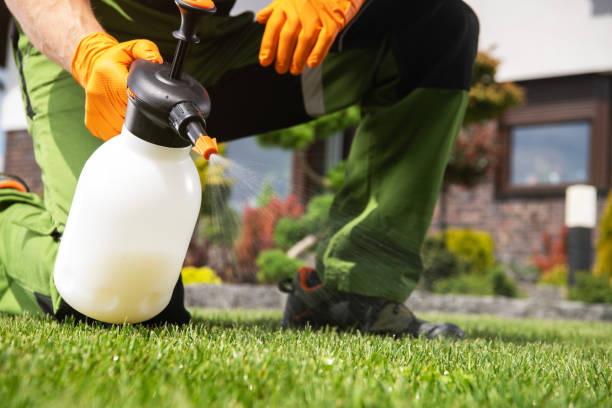 Best Pest Control for Businesses  in Reidville, SC
