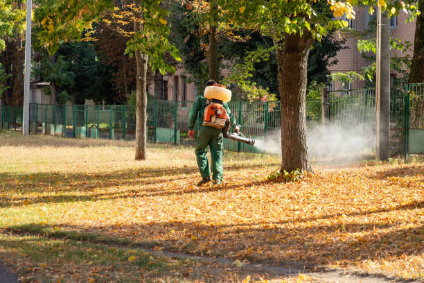 Best Insect Control  in Reidville, SC
