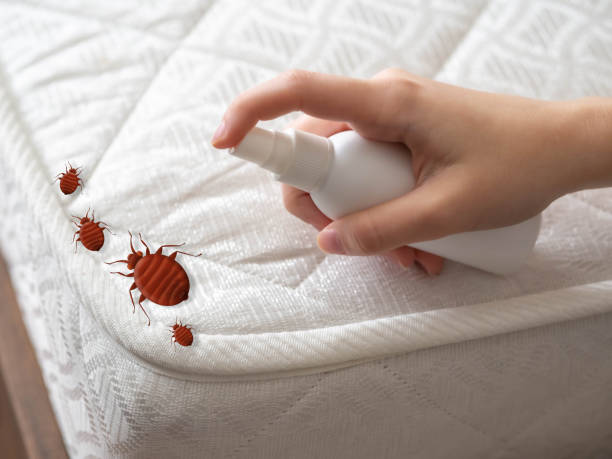 Reliable Reidville, SC Pest Control Solutions