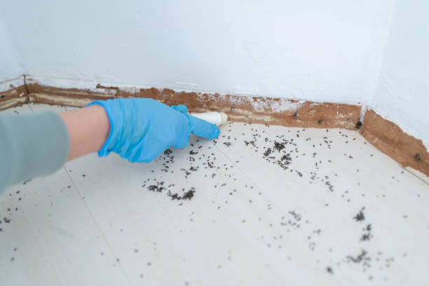 Best Commercial Pest Control Services  in Reidville, SC