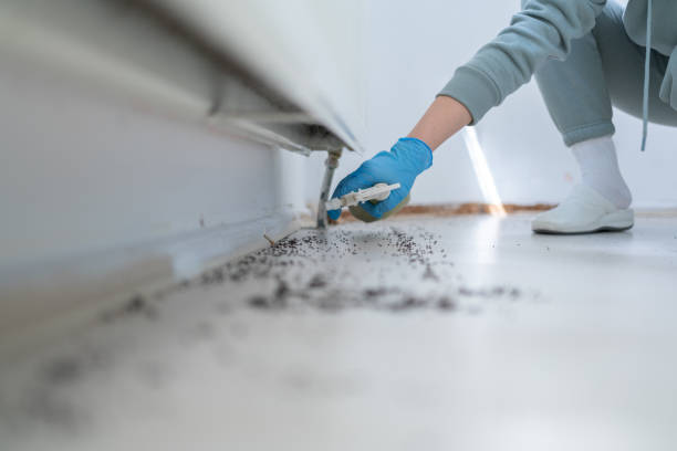 Best Pest Control for Restaurants  in Reidville, SC