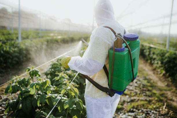 Best Pest Inspection Near Me  in Reidville, SC